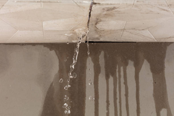 Professional Structural Drying technician working in Oglesby, TX